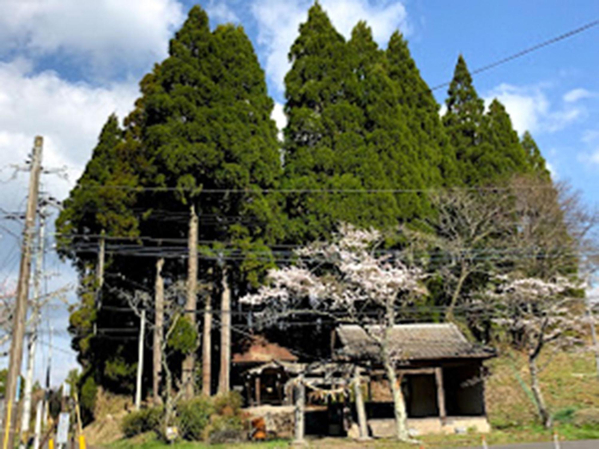 Guesthouse Kurihai 오이타 외부 사진